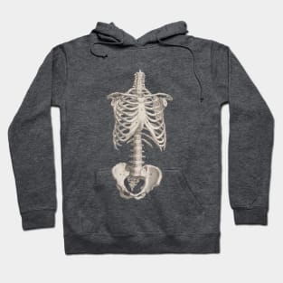 Vintage Medical Anatomy Skeleton Chest Medicine Hoodie